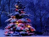 you NEED a christmas tree!!
