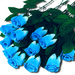 Blue Roses For My Love