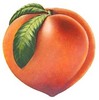 a Juicy Georgia Peach