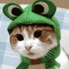 frog hat