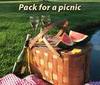 a picnic trip