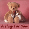 *A Hug For You*