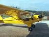 Piper Cub