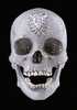 Diamond Skull