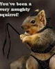 a naughty squirrel