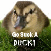 Go Suck A Duck !!