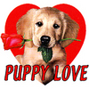 I &quot;Puppy Love&quot; You!!