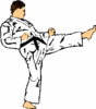 Front Kick