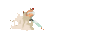 Ryu Hadoken