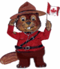 What a Canadain beaver.  where!!