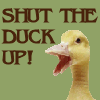 Shut The Duck Up ! 