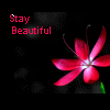 Stay Beautiful ღღ