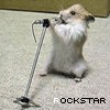 To me your a rockstar