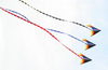 Fly Flying Fish (Kites) 4 Nikita