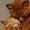 Kitty Hug
