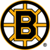 The Boston Bruins Logo
