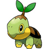 Turtwig