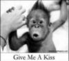 Give me a kiss 