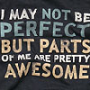 I may not be Perfect ...