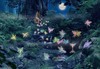 enchanted fairy garden
