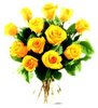 12 Sunshine Roses
