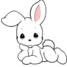 A cute bunny..