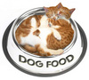 Dog food miau!