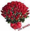 100 perfect roses
