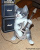 guitar hero kitty
