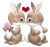 Bunny Love !!!