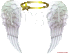 If i hv a angel wing..