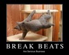 break beats