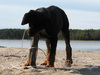 Play time at the beach