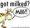 You've been milked