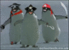 Arrr! me dirty penguin bitches!