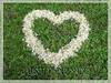 Heart Flower