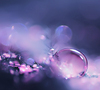Drops Of Happiness...
