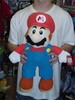 Mario Plush Toy.