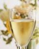 Glass of White Wine