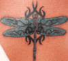 Dragonfly Tattoo