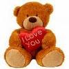 loveable teddy bear