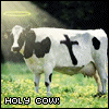Holy cow!!!!!!!!!!