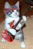 Rocking Kitty