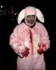 Zombie Bunny