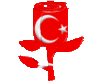 Turkish Flower 