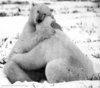 A big bear-hug