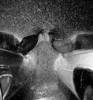 Kisses in the rain