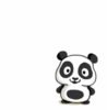 Hello Panda 