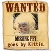 Please help me find my Kittie