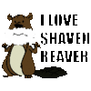 shaved beaver
